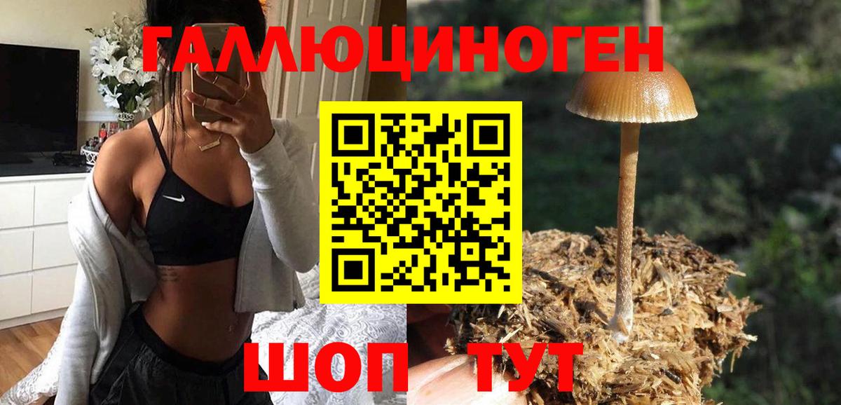 Псилоцибиновые грибы MAGIC MUSHROOMS Тулун