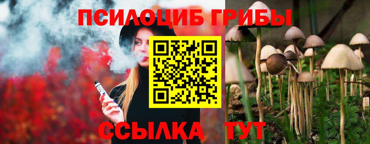 Псилоцибиновые грибы Psilocybine cubensis  Псилоцибиновые грибы Psilocybe  Вход с VPN  Тулун 